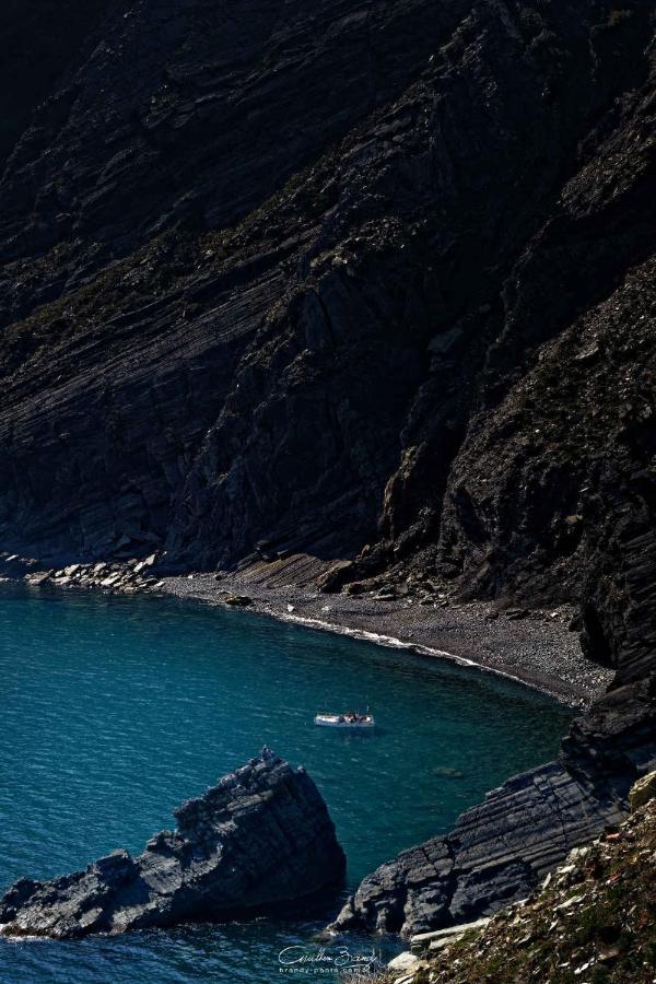 Vila Le Soleil Bleu Wifi Clim Le Barcarès Exteriér fotografie